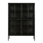 Keep your bedroom, kitchen, or living room organized with our stylish Roman Cabinet. Four glass doors with a bar pull open designed to keep dust away from your keepsakes. Featuring an industrial minimalist design and finished with antique gunmetal framing and shelves.Depth : 14 in Amethyst Home provides interior design, new home construction design consulting, vintage area rugs, and lighting in the Monterey metro area.