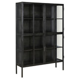 Keep your bedroom, kitchen, or living room organized with our stylish Roman Cabinet. Four glass doors with a bar pull open designed to keep dust away from your keepsakes. Featuring an industrial minimalist design and finished with antique gunmetal framing and shelves.Depth : 14 in Amethyst Home provides interior design, new home construction design consulting, vintage area rugs, and lighting in the Omaha metro area.