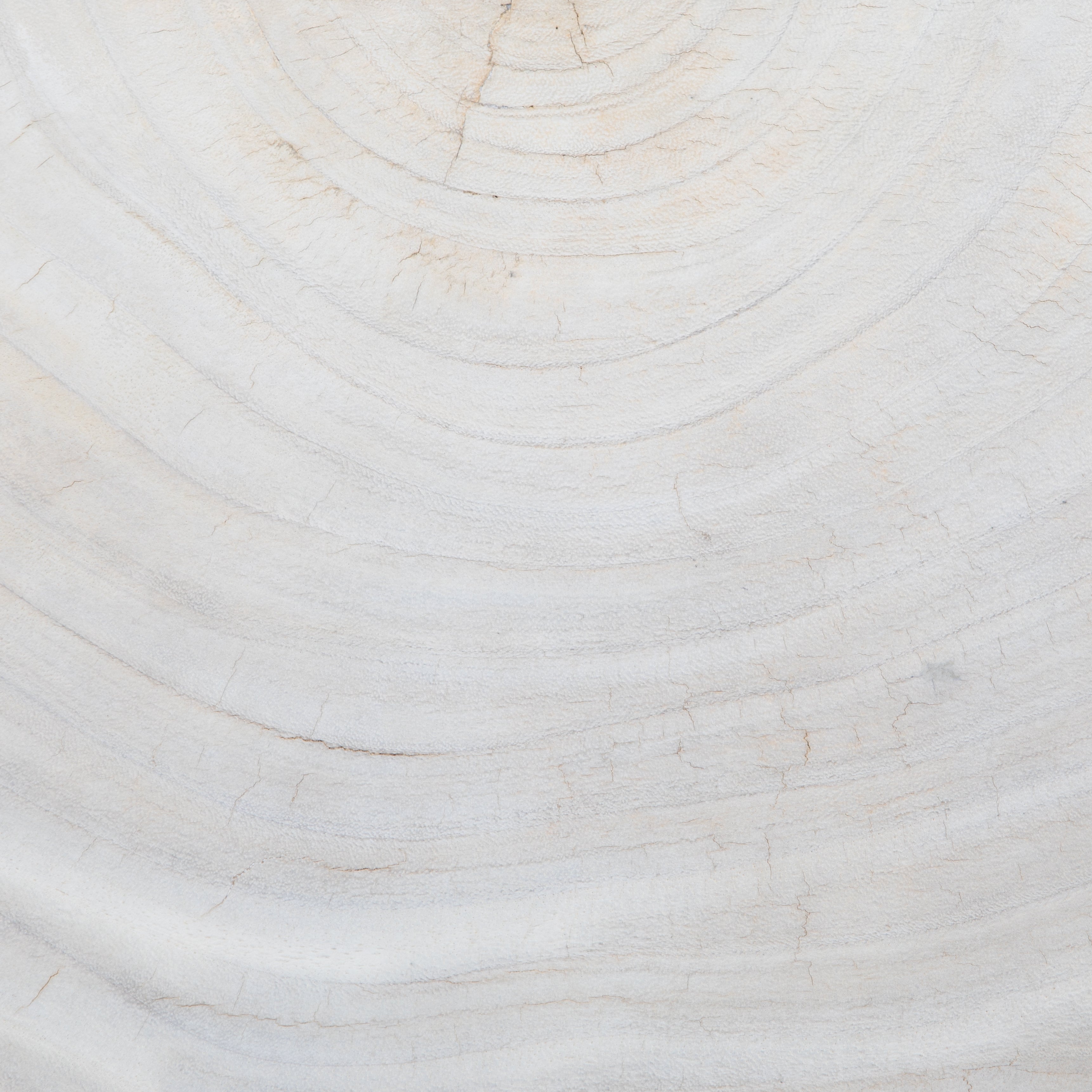 Natural beauty, total novelty. Bleached oyster-cut Guanacaste forms a petite, kidney-shaped coffee table. Visible rings speak to woods' natural graining, while a dark gunmetal-finished base provides clean contrast to the whole look. Short piece; measures 49.5"x24"x11.75". Option to pair with taller piece, sold separately. Amethyst Home provides interior design, new construction, custom furniture, and area rugs in the Tampa metro area.