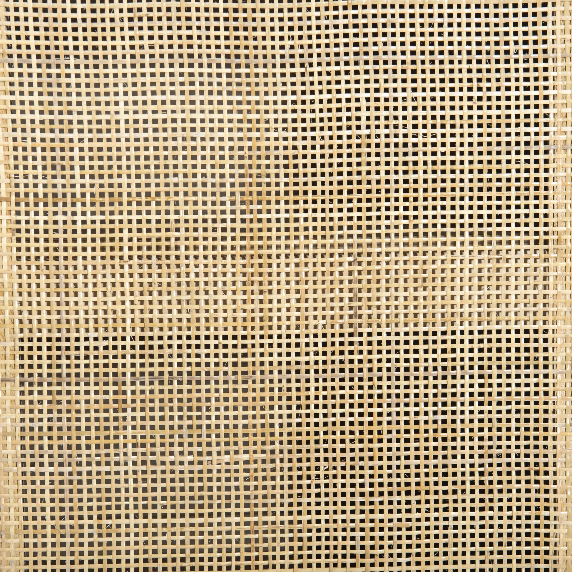 Monochromatic with a textural twist. Natural mango frames woven cane fronts, with black iron hardware for subtle contrast. Inside, spacious shelving awaits storage of dinnerware and more Amethyst Home provides interior design, new home construction design consulting, vintage area rugs, and lighting in the Calabasas metro area.