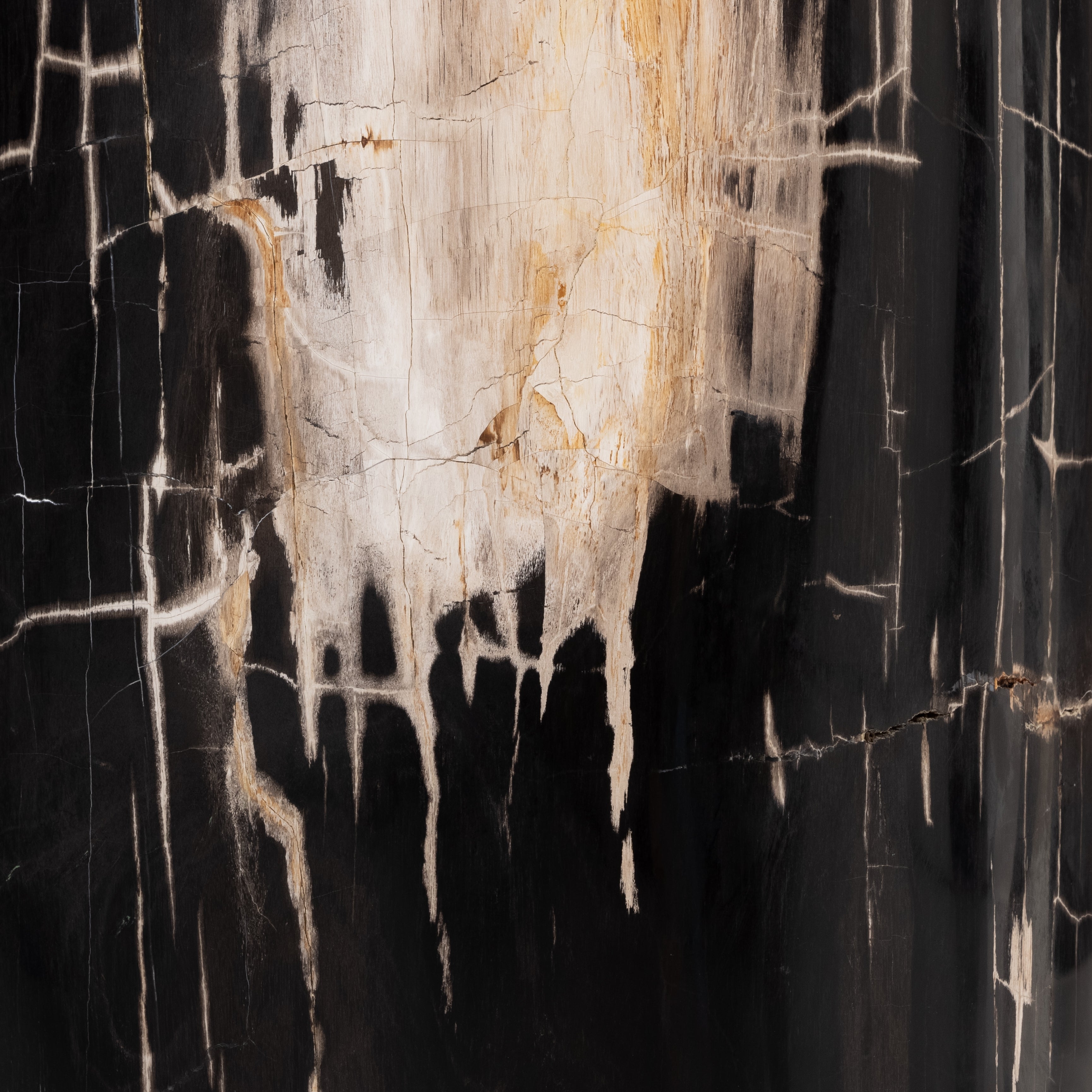 Featuring Kos Dark Petrified Wood End Table by Four Hands at Amethyst Home. The Kos Dark Petrified Wood End Table is perfect to place in your living and make in come to live with it's design.
Overall Dimensions: 11.75"W x 11.75"L x 15.75"HWeight: 183.49 lbsMaterials: Petrified WoodVolume: 4.31 cu ft. Amethyst Home provides interior design services, furniture, rugs, and lighting in the Omaha metro area.