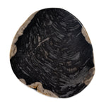 Featuring Kos Light Petrified Wood End Table by Four Hands at Amethyst Home. Naturally petrified wood with dramatic highs and lows makes for a stunning end table. Showcasing organic patterns with cracks and graining, the lightly hued tree stump has a rich, organic look. A variance in color and texture is to be expected from piece to piece.
Overall Dimensions: 11.75"W x 11.75"L x . Amethyst Home provides interior design, new construction, custom furniture, and area rugs in the Calabasas metro area.