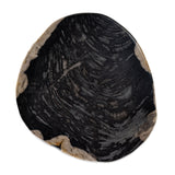Featuring Kos Light Petrified Wood End Table by Four Hands at Amethyst Home. Naturally petrified wood with dramatic highs and lows makes for a stunning end table. Showcasing organic patterns with cracks and graining, the lightly hued tree stump has a rich, organic look. A variance in color and texture is to be expected from piece to piece.
Overall Dimensions: 11.75"W x 11.75"L x . Amethyst Home provides interior design, new construction, custom furniture, and area rugs in the Calabasas metro area.