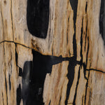 Featuring Kos Light Petrified Wood End Table by Four Hands at Amethyst Home. Naturally petrified wood with dramatic highs and lows makes for a stunning end table. Showcasing organic patterns with cracks and graining, the lightly hued tree stump has a rich, organic look. A variance in color and texture is to be expected from piece to piece.
Overall Dimensions: 11.75"W x 11.75"L x . Amethyst Home provides interior design, new construction, custom furniture, and area rugs in the Charlotte metro area.