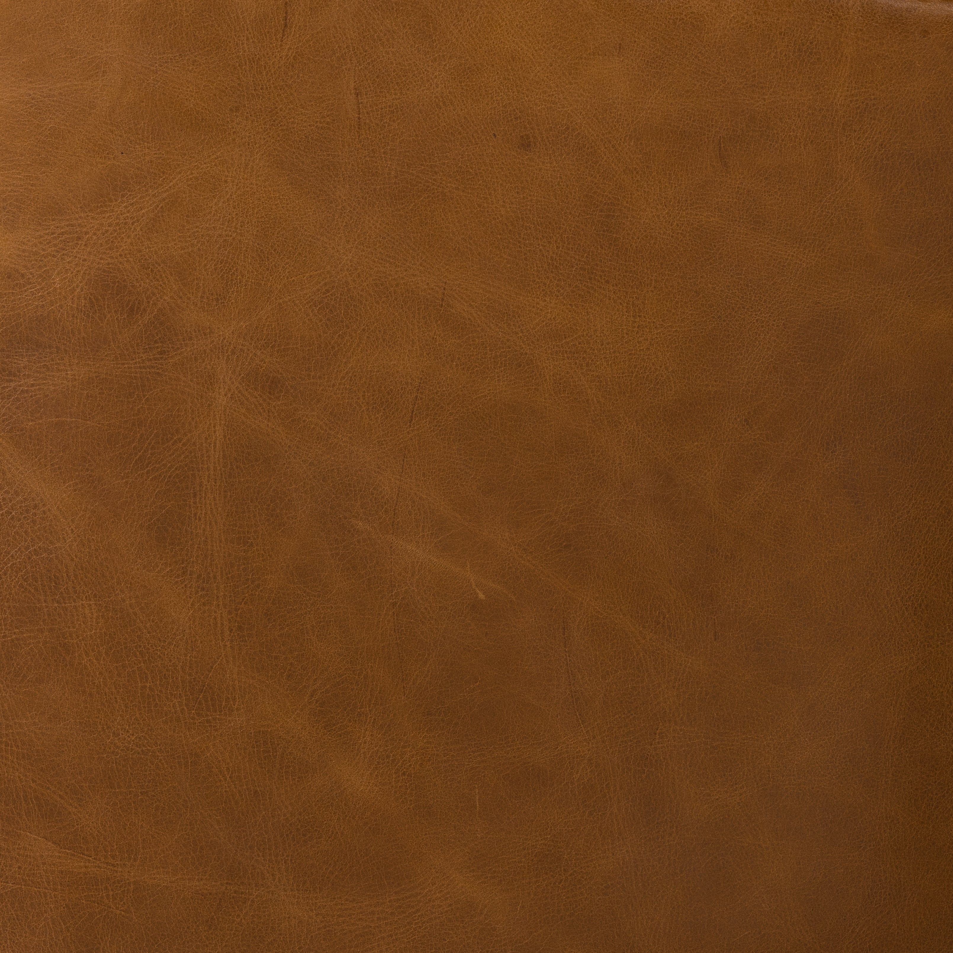 A statement seat all its own. This regal Parisian club chair is honored with a profound scooped back and rolled arms in classic, lived in tan top-grain leather. Amethyst Home provides interior design, new construction, custom furniture, and area rugs in the Park City metro area.