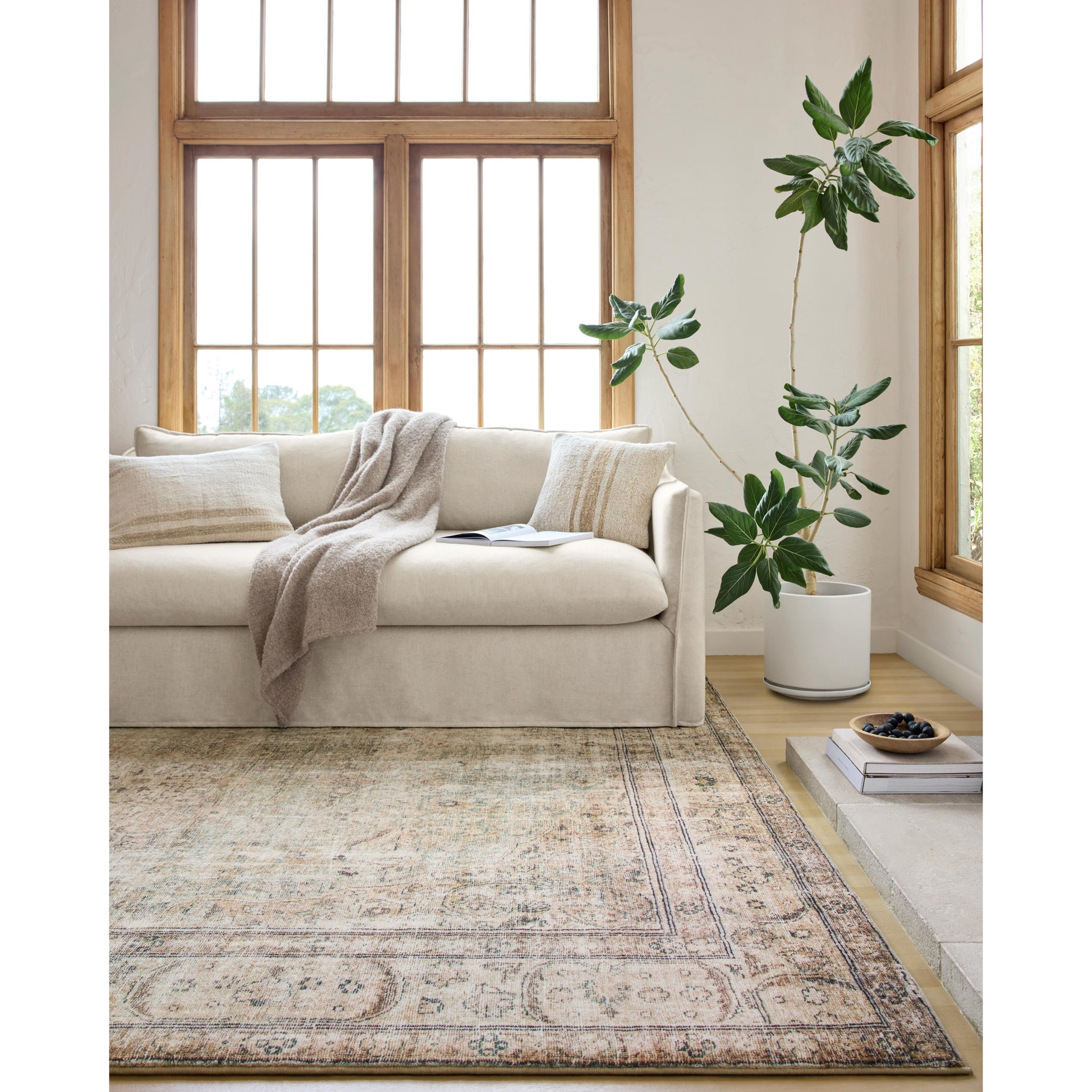 Easy on the eyes, comfortable on the feet. Our first collection with CloudPile™, the Margot Collection marries the luxurious feel of a plush pile with the affordability of a printed rug. Margot features timeless and classic designs, in an incredibly plush, cloud-like texture that you can't wait to sink your feet into.Amethyst Home provides interior design, new construction, custom furniture, and rugs for Park City metro area