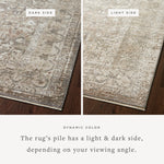 The Sonnet Collection is a versatile area rug with traditional motifs that appear to float and fade from the surface, the result of a new power-loomed construction that combines yarns of different textures. The rug is made of space-dyed polypropylene and polyester for a gradient range of colors that shift with the light. Amethyst Home provides interior design, new home construction design consulting, vintage area rugs, and lighting in the Des Moines metro area.