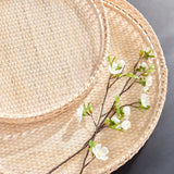 In a woven rattan with a fresh whitewash finish, these substantial, coastal-inspired trays are a welcomed accent in any setting. Perfect for coffee table or ottoman to create a base for a stunning vignette. Amethyst Home provides interior design, new construction, custom furniture, and area rugs in the Boston metro area.