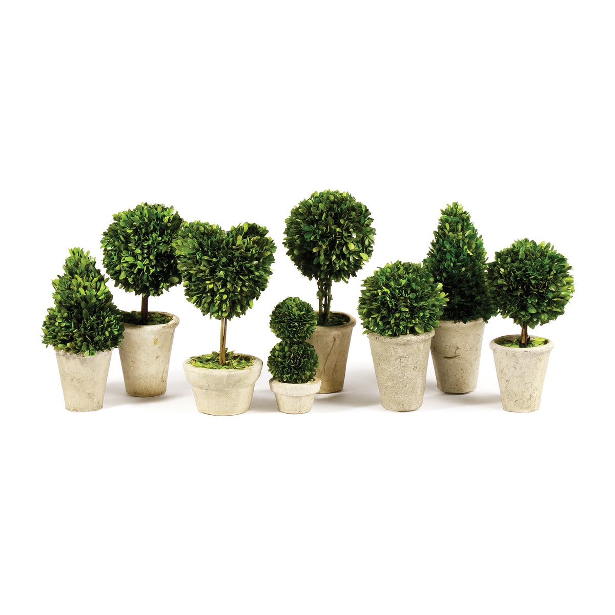 Topiaires en buis en pots, ensemble de 8 | prêt pour l'expédition!