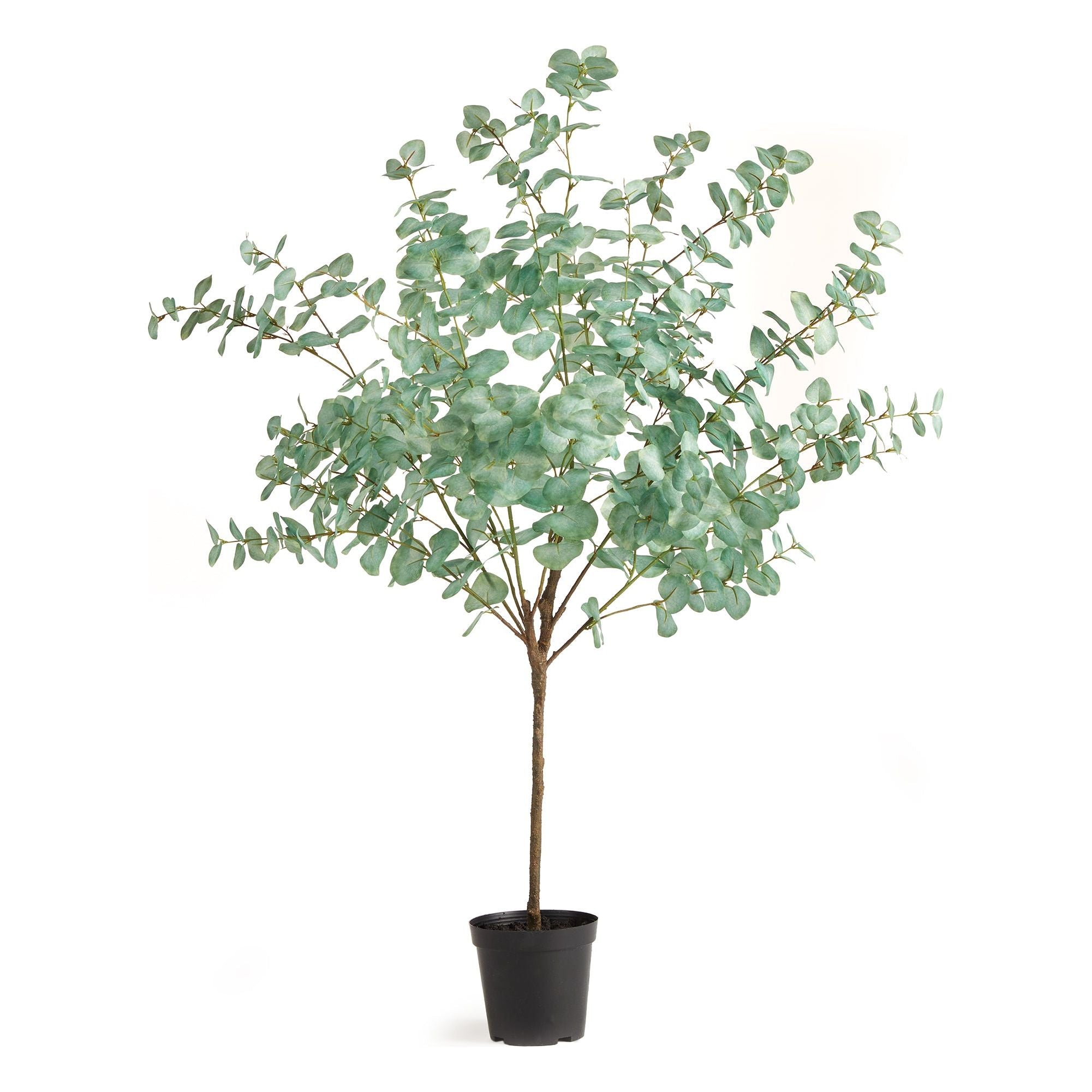 With a soft blue-green signature leaf and wispy branches, this faux Eucalyptus Tree Drop-in is ultra-realistic. With an easy to mold wire frame, it makes a stunning addition to the wide open space. Amethyst Home provides interior design, new construction, custom furniture, and area rugs in the San Diego metro area.