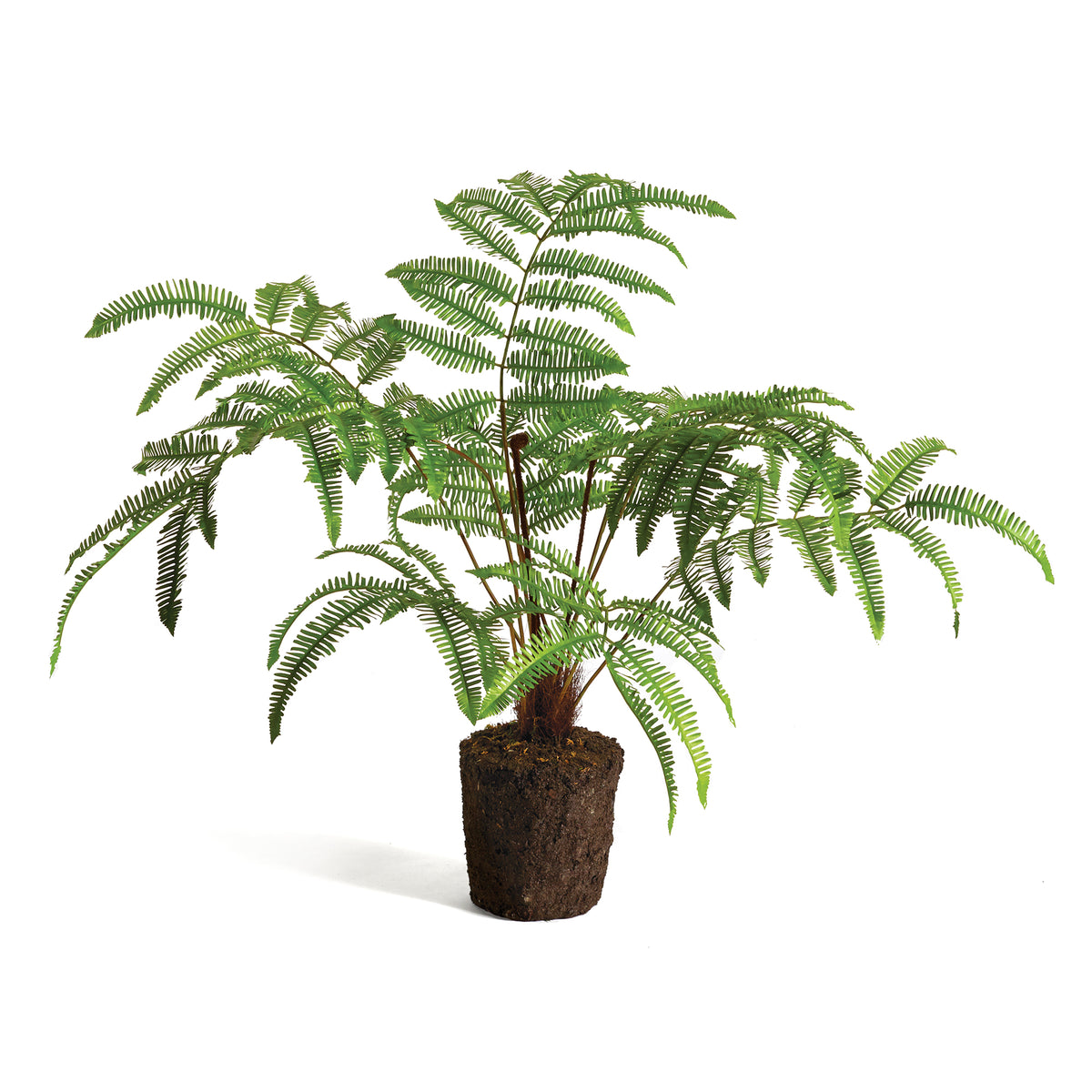 Forest Fern Drop-In 29.5" | prêt à expédier !