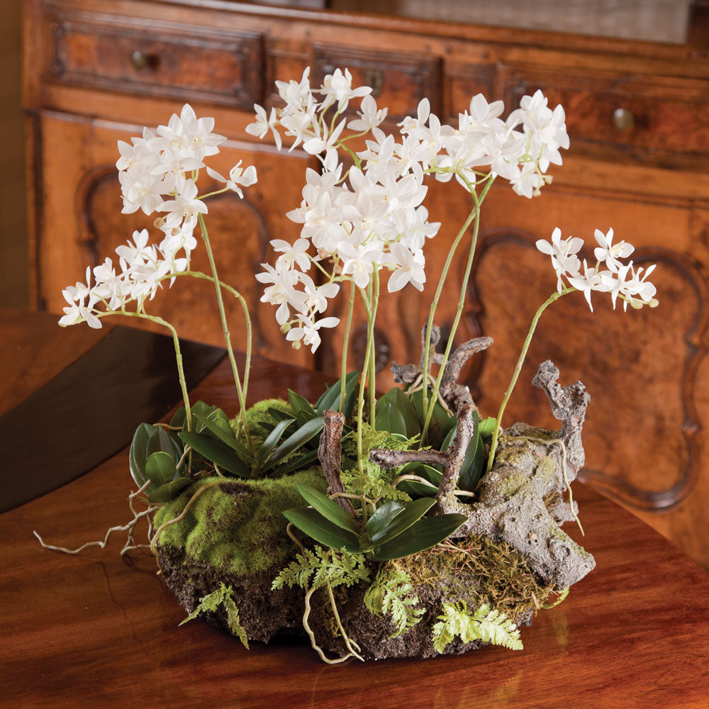 Mini Dendrobium With Rustic Drop-In 16" | please contact us for ETA!