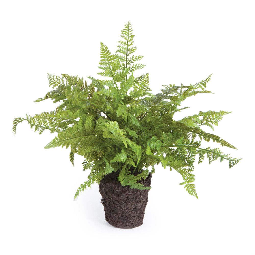 Soft Fern Drop-In 10.5" | prêt à expédier !