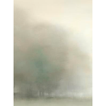 Featuring Field of Frost I Art by Leftbank Art at Amethyst Home. This Field of Frost I Art takes us to a quiet, peaceful space. We'd love to see this hung in your entryway, living room or other space. 
Artist: D'Alessandro Léon Product Type: GicléeFinish: Encaustic Gel - HorizonSize: 40" x 54" without frame
  Framed as shown.  Amethyst Home provides interior design, new home construction design consulting, vintage area rugs, and lighting in the Park City metro area.
