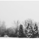 Featuring Pine Line Art by Leftbank Art at Amethyst Home. Pine Line Art by Alicia Bock is a stunning black and white piece, capturing the raw beauty and silence that comes with fresh snow.
Product Type: GicléeFinish: Image Brush GelSize: 45" x 30" without frame
  Framed as shown.  Amethyst Home provides interior design, new home construction design consulting, vintage area rugs, and lighting in the Seattle metro area.