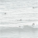 Featuring Multiple Surfers - Lagos, Portugal Art by Leftbank Art at Amethyst Home. We love the beach vibes of this Multiple Surfers - Lagos, Portugal Art. We'd love to see this featured in your living room, entry or pool house!
Artist: Richard Silver Product Type: GicléeFinish: Image Brush GelSize: 60" x 40" without frame
  Framed as shown.  Amethyst Home provides interior design, new home construction design consulting, vintage area rugs, and lighting in the Alpharetta metro area.