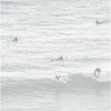 Featuring Multiple Surfers - Lagos, Portugal Art by Leftbank Art at Amethyst Home. We love the beach vibes of this Multiple Surfers - Lagos, Portugal Art. We'd love to see this featured in your living room, entry or pool house!
Artist: Richard Silver Product Type: GicléeFinish: Image Brush GelSize: 60" x 40" without frame
  Framed as shown.  Amethyst Home provides interior design, new home construction design consulting, vintage area rugs, and lighting in the Alpharetta metro area.