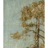 Featuring Endeavor Art by Wendover Art at Amethyst Home. The Endeavor art piece is a chic addition to your space. This view of Big Tree retreat on Mountain gives a beautiful sense of peace and comfort to any room.Specialty: Straight Fit (No Mats)Medium: Matte PaperTreatment: Straight Fit (No Mats)Size: 42.25"w x 58.25"h Framed as shown.  Amethyst Home provides interior design, new home construction design consulting, vintage area rugs, and lighting in the Boston metro area.