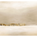 Featuring Distant Lullaby 2 Art by Wendover Art at Amethyst Home. We love the muted colors of this Distant Lullaby 2 Art. This brings a peaceful sense of nature to any living room, entryway, or other space. 
Size: 41"w x 61"hMedium: CanvasSpecialty: Gallery Wrapped Canvas, Artist Enhanced Framed as shown.  Amethyst Home provides interior design, new home construction design consulting, vintage area rugs, and lighting in the Boston metro area.
