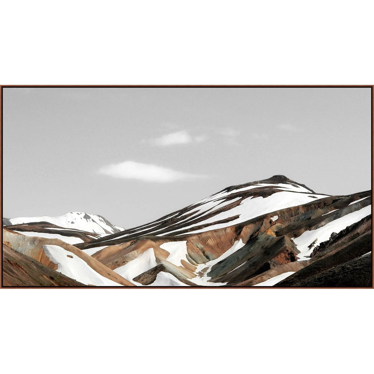 Painted Snow Art