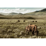 Featuring Yellowstone Dreams Art by Wendover Art at Amethyst Home. Picturesque in high definition.  Modern acrylic mount to float off the wall.
Specialty: Giclee on Acrylic, Mounted on SubframeMedium : AcrylicSize : 69.5"w x 46.5"hTreatment : Mounted on Subframe Framed as shown. Amethyst Home provides interior design, new home construction design consulting, vintage area rugs, and lighting in the Washington metro area.