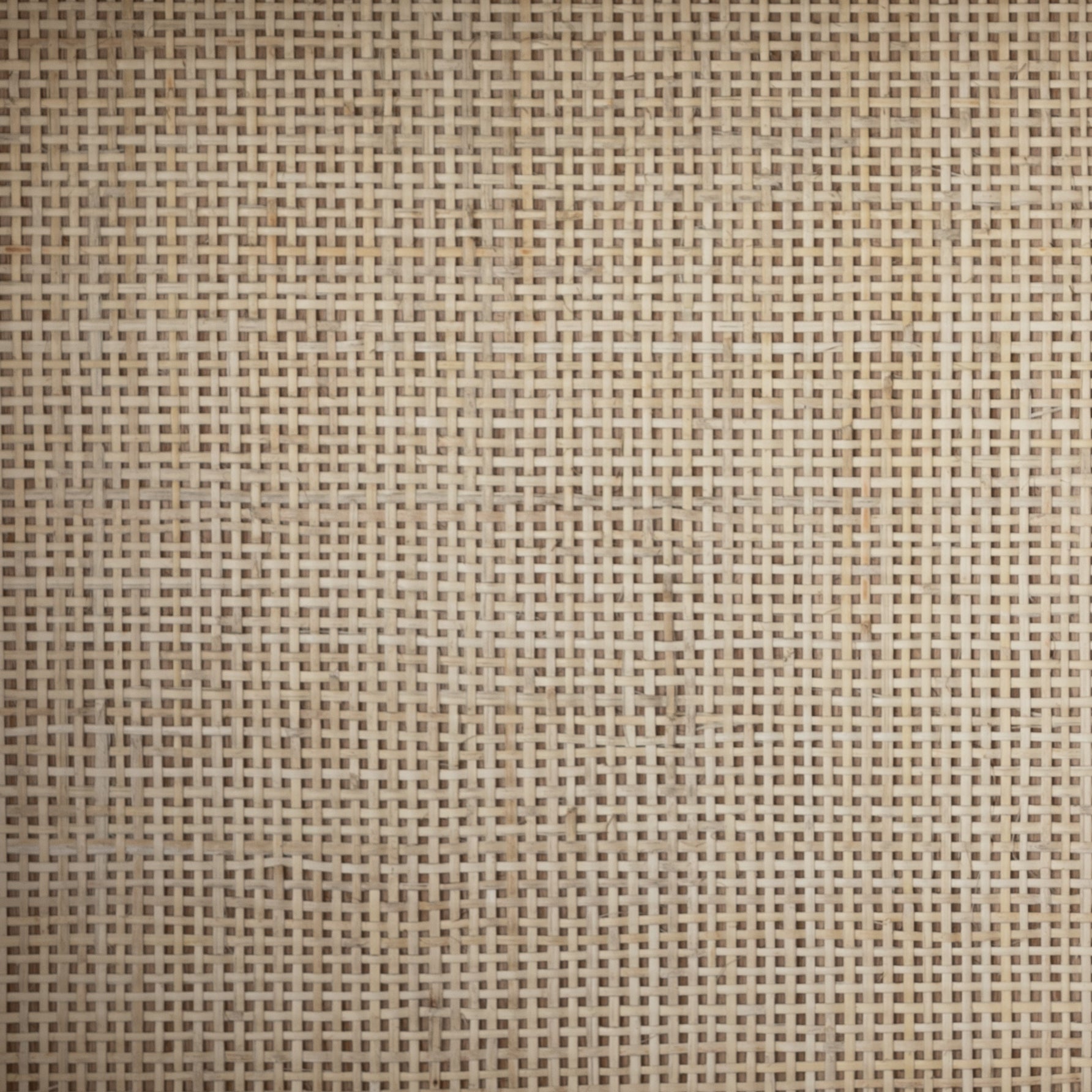 Featuring Higgs Bookcase - Honey Oak Veneer by Four Hands at Amethyst Home. We are obsessed with the natural cane paneling on this Higgs Bookcase - Honey Oak Veneer. The tall, clean frame has four shelves perfect for showcasing your favorite books, family photos, or family heirlooms 
Overall Dimensions: 34.75"W x 18"L x 84"H
Colors: Light Natural Cane, Ho.  Amethyst Home provides interior design, new home construction design consulting, vintage area rugs, and lighting in the Des Moines metro area.