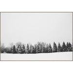 Featuring Pine Line Art by Leftbank Art at Amethyst Home. Pine Line Art by Alicia Bock is a stunning black and white piece, capturing the raw beauty and silence that comes with fresh snow.
Product Type: GicléeFinish: Image Brush GelSize: 45" x 30" without frame
  Framed as shown.  Amethyst Home provides interior design, new home construction design consulting, vintage area rugs, and lighting in the Laguna Beach metro area.
