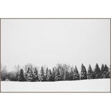 Featuring Pine Line Art by Leftbank Art at Amethyst Home. Pine Line Art by Alicia Bock is a stunning black and white piece, capturing the raw beauty and silence that comes with fresh snow.
Product Type: GicléeFinish: Image Brush GelSize: 45" x 30" without frame
  Framed as shown.  Amethyst Home provides interior design, new home construction design consulting, vintage area rugs, and lighting in the Laguna Beach metro area.