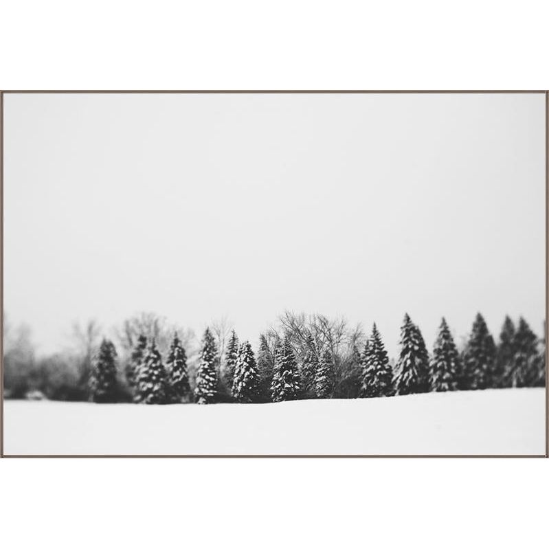 Pine Line Art