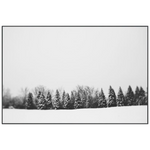 Featuring Pine Line Art by Leftbank Art at Amethyst Home. Pine Line Art by Alicia Bock is a stunning black and white piece, capturing the raw beauty and silence that comes with fresh snow.
Product Type: GicléeFinish: Image Brush GelSize: 45" x 30" without frame
  Framed as shown.  Amethyst Home provides interior design, new home construction design consulting, vintage area rugs, and lighting in the Park City metro area.