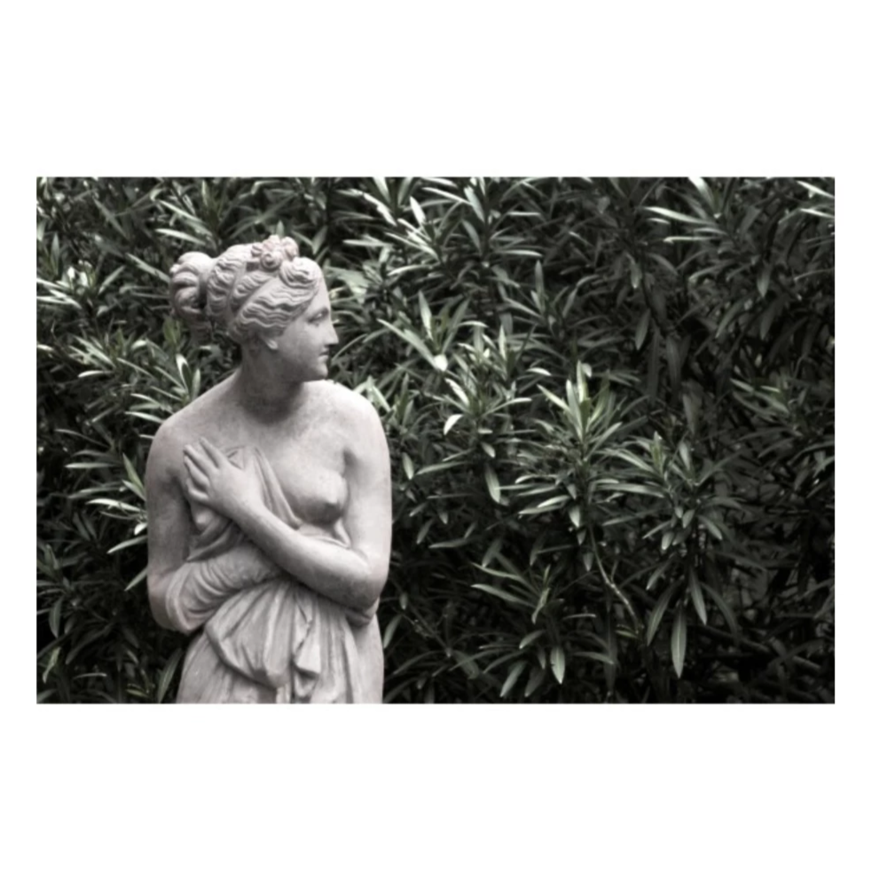 Regarder dans le jardin Art | expédition le 10/01/2024