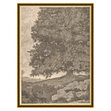 Grandfather's Tree Art